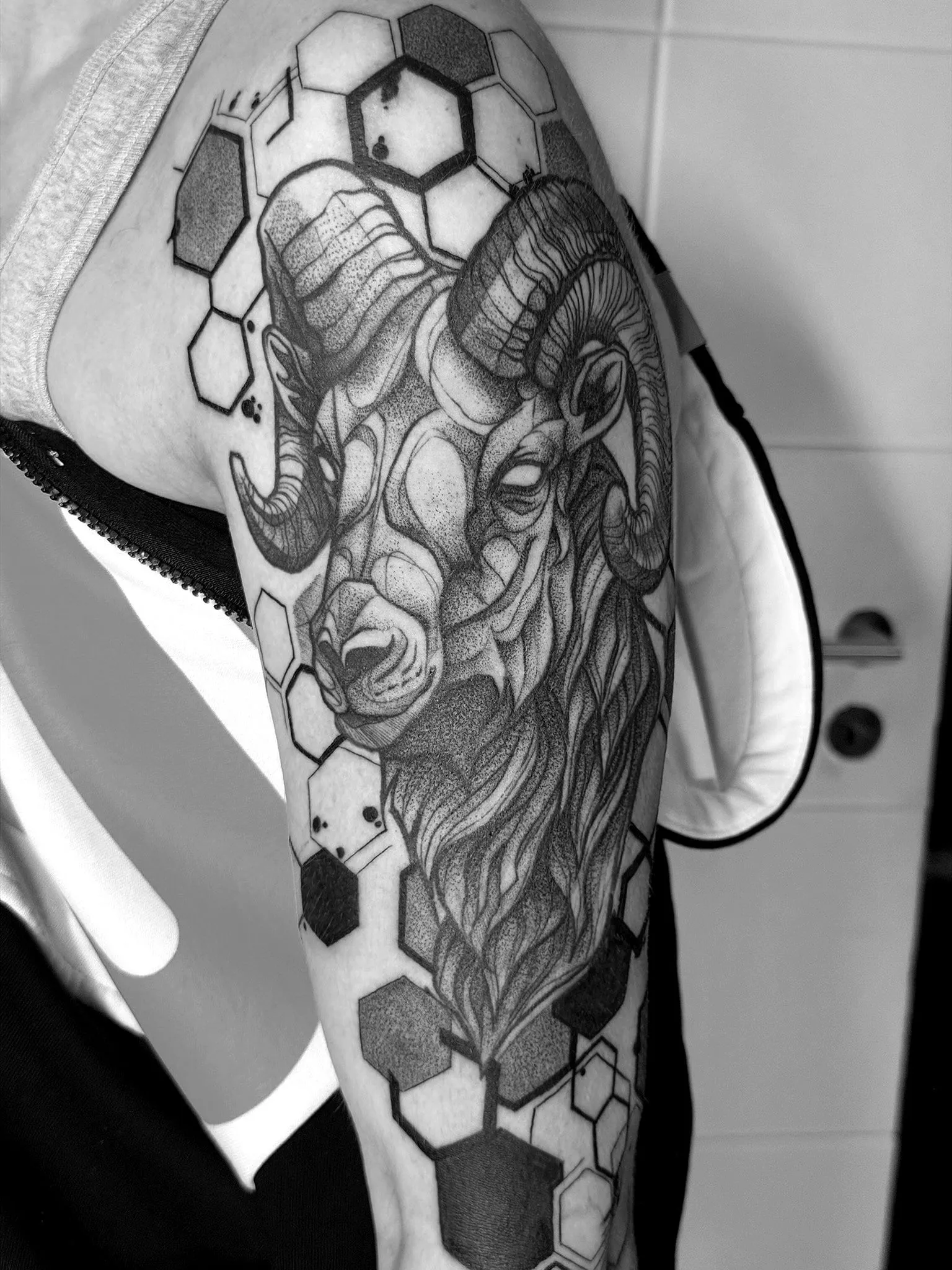 Sketch Style — IMG 1590
