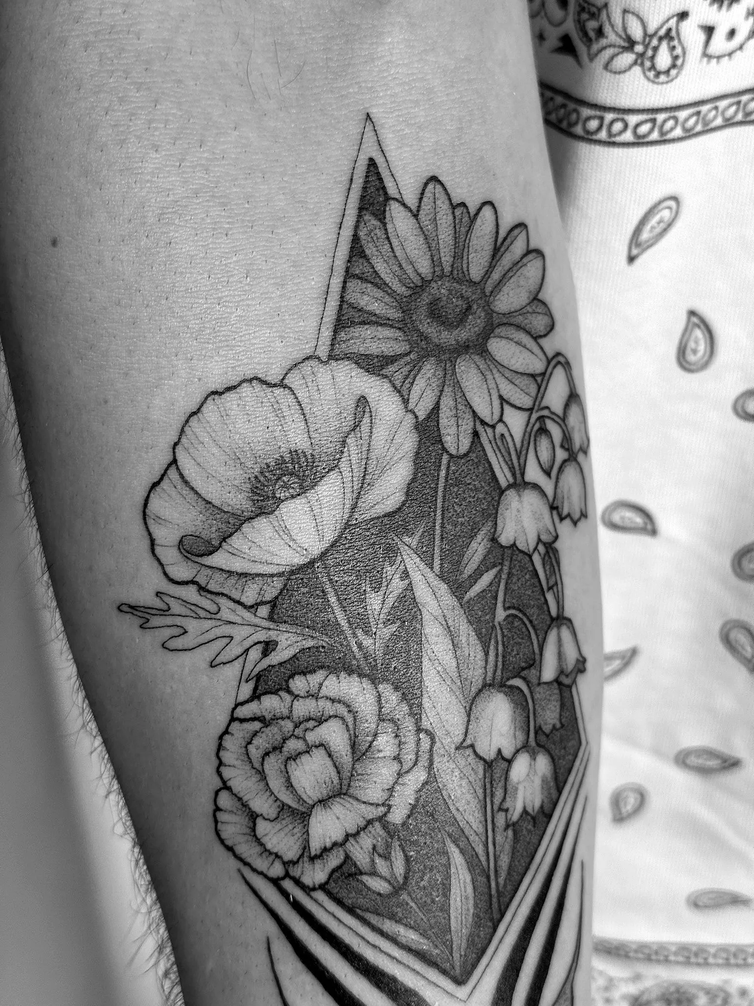 Sketch Style — IMG 3475