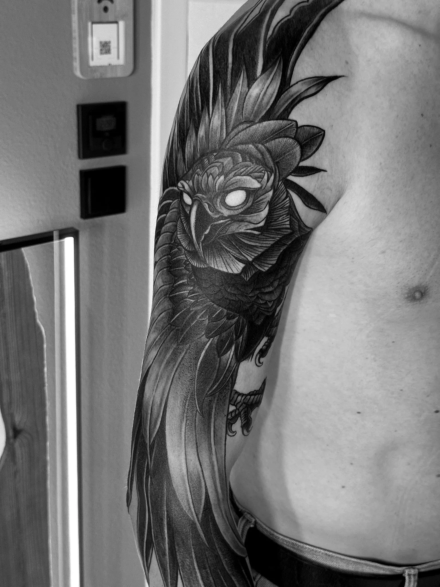 Sketch Style — IMG 7931